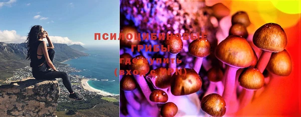 бутират Бородино